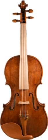 Geige aus nachhaltiger Forstwirtschaft - Violin Made of Sustainable Wood - Swiss Wood Solutions-2