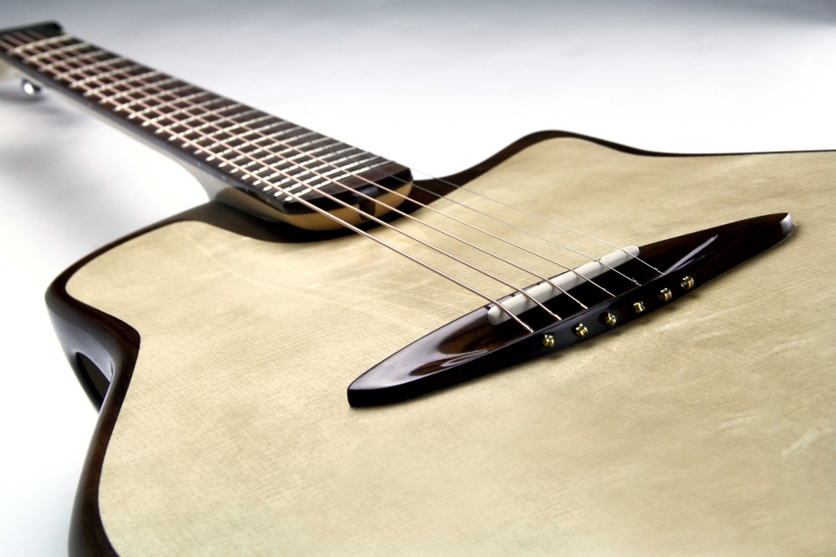 Gitarren aus nachhaltigem Holz - Guitars made of sustainable Wood - Swiss Wood Solutions-1