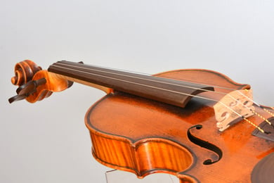 Violin with fingerboard from Sonowood maple.