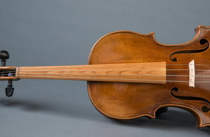Violin with fingerboard from Sonowood spruce.