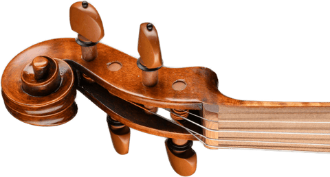 Holz für den nachhaltigen Musikinstrumentenbau - Wood for the sustainable musical instruments making - Swiss Wood Solutions-1