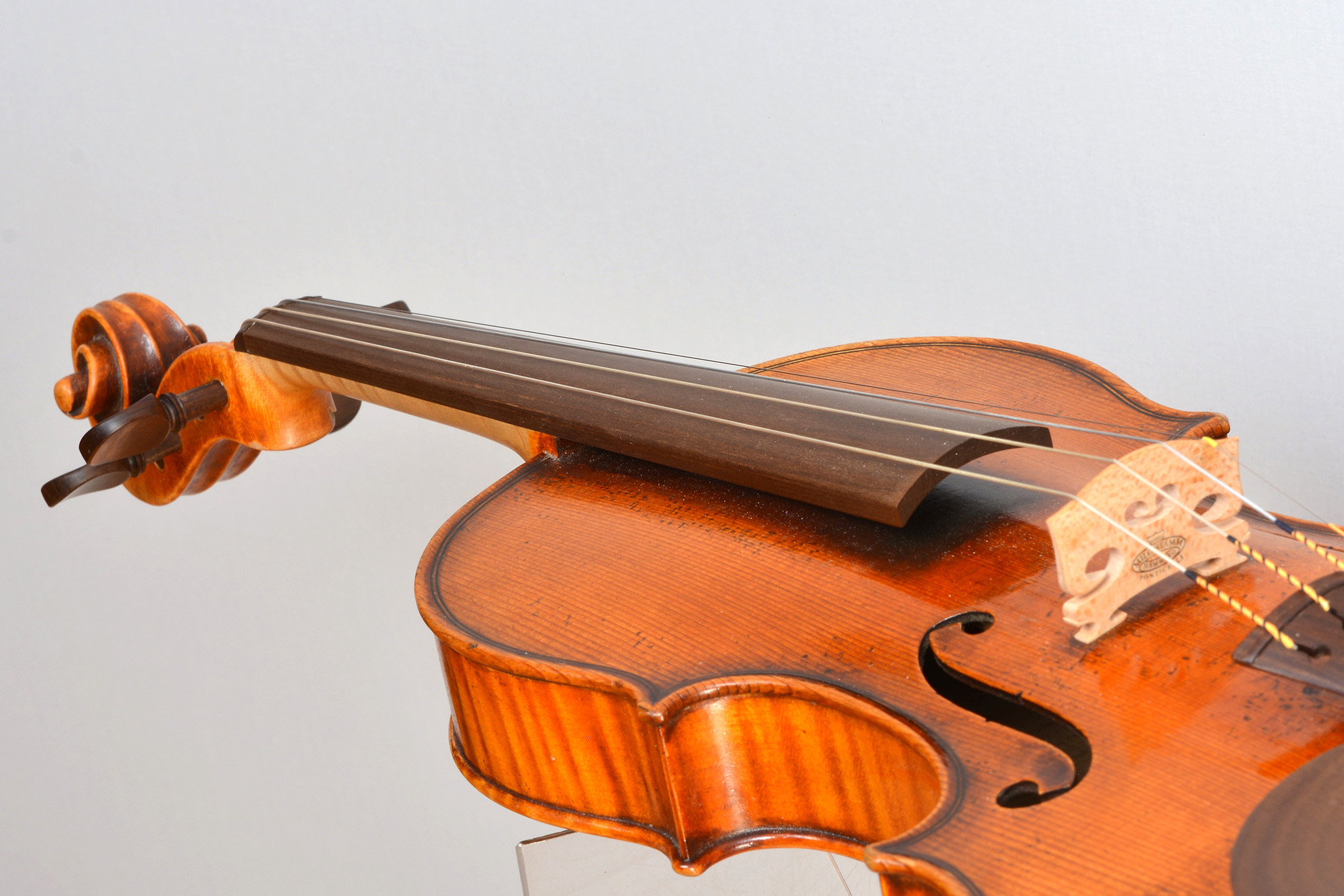 Violin with fingerboard from Sonowood maple.